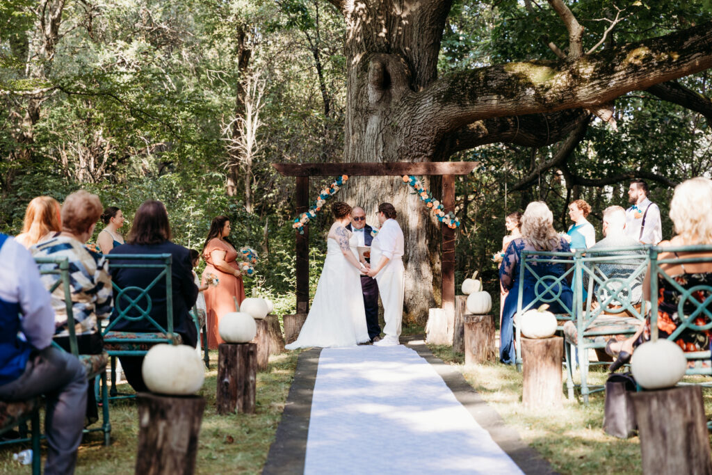 A wedding ceremony outdoors under a large tree, with people seated on either side of an aisle lined with white pumpkins.