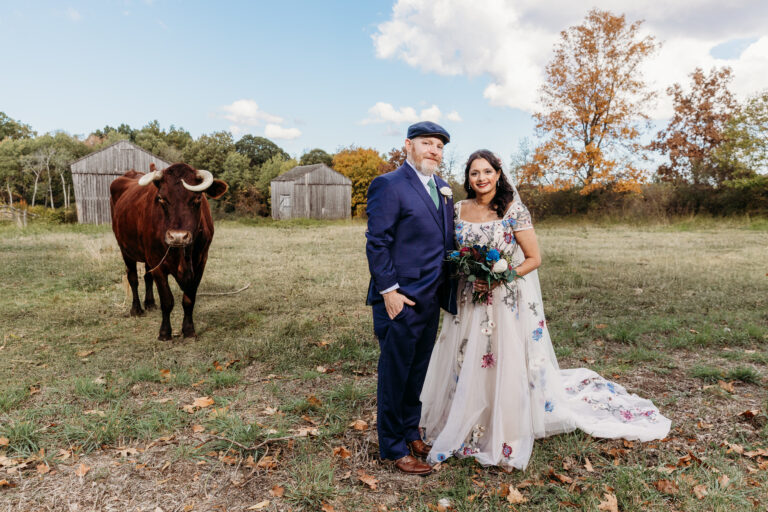 Bride and groom pose in a rural field with a cow and autumn trees in the background.