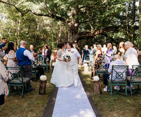 A wedding ceremony in a forest setting with a couple walking down an aisle surrounded by seated guests, sunlight filtering through trees.